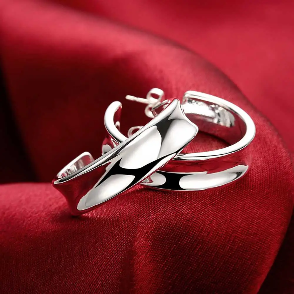 925 Sterling Silver Beautiful  - Street Fashion Earrings recension och pris