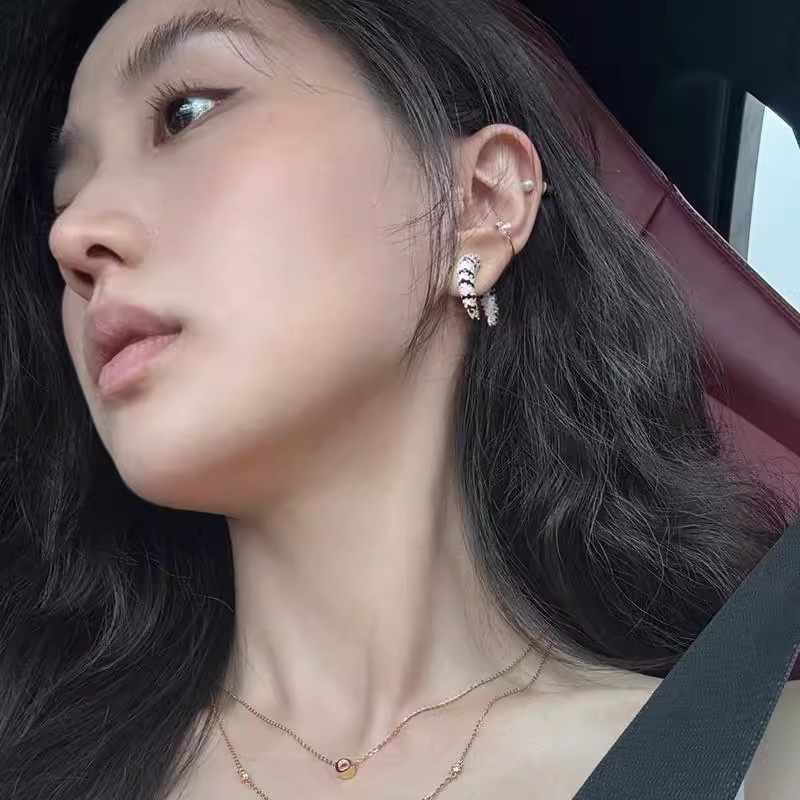 Vintage Front Rear Zircon Horn - Street Fashion Earrings recension och pris
