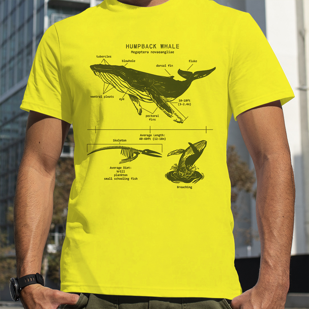Humpback Whale Anatomy Shark L - Street Fashion Loverboy recension och pris